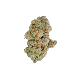 avaay signature 29/1 OGC Ocean Grown Cookies